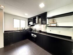 The Atria At Meyer (D15), Condominium #532386781